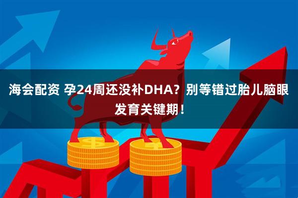 海会配资 孕24周还没补DHA？别等错过胎儿脑眼发育关键期！